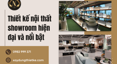 Thiết kế nội thất showroom hiện đại và nổi bật