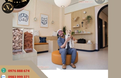 Top 5 Phong Cách Thiết Kế Shop Thú Cưng PET Được Yêu Thích Nhất ????